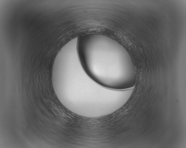 X0000084000916200702160752