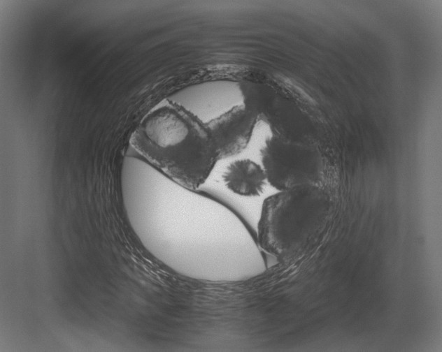 X0000084000917200702160752