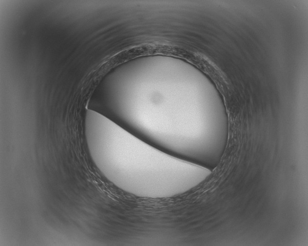 X0000084000919200702160752