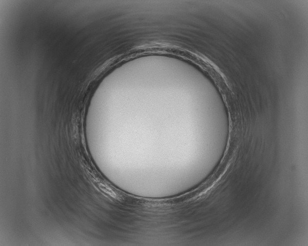X0000084000921200702160752