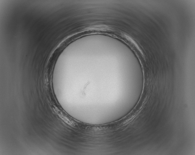 X0000084000923200702160752