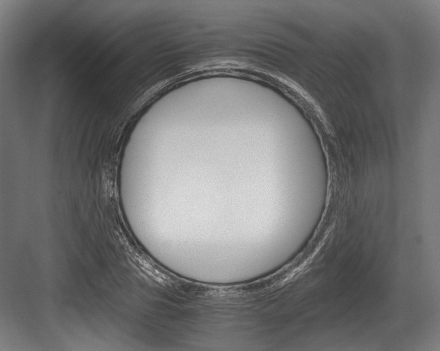 X0000084000929200702160753