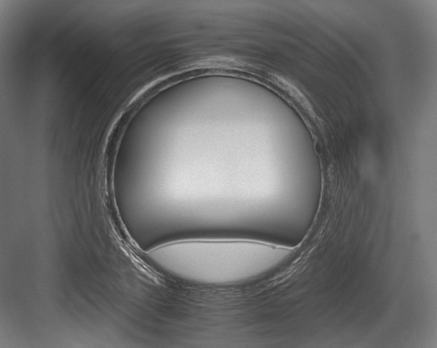 X0000084000931200702160753