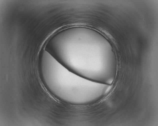 X0000084000933200702160753