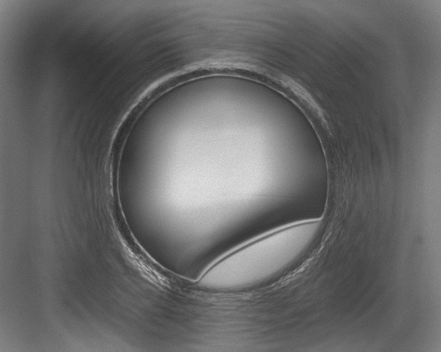 X0000084000934200702160753