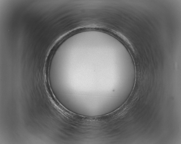 X0000084000935200702160753