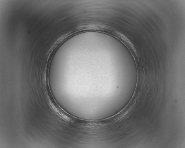 X0000084000938200702160753
