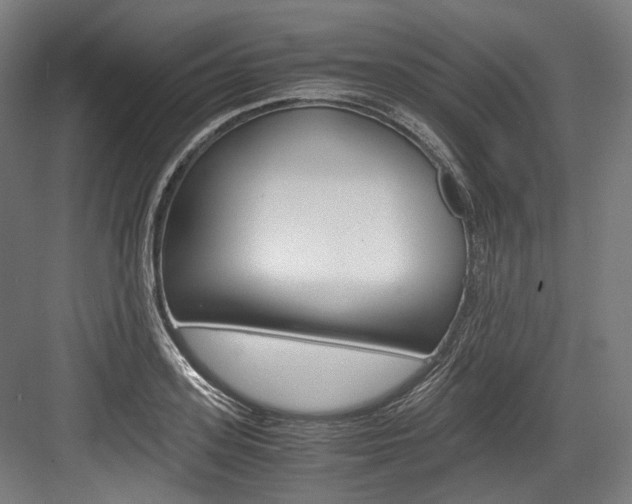 X0000084000939200702160753