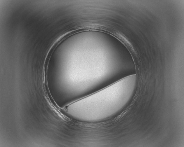 X0000084000940200702160753