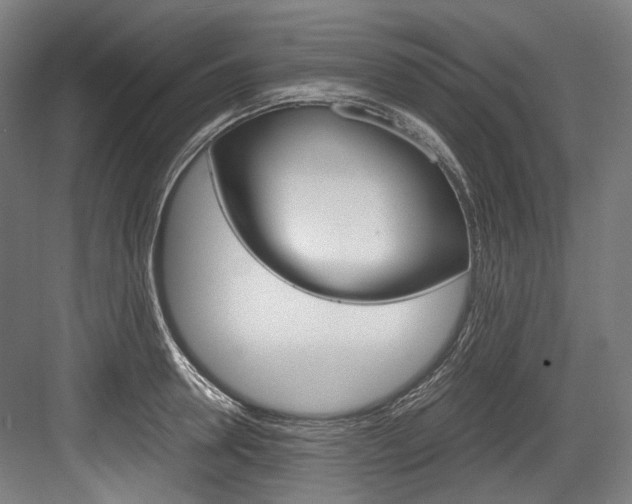 X0000084000946200702160753