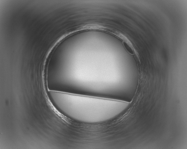 X0000084000947200702160753