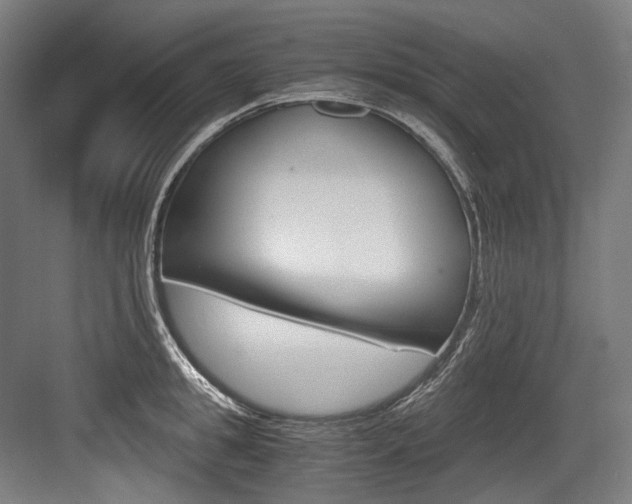 X0000084000949200702160753