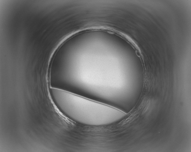 X0000084000951200702160753
