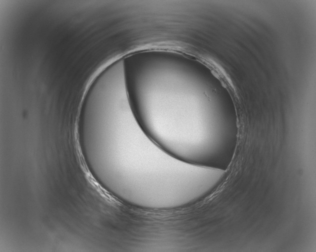 X0000084000952200702160753