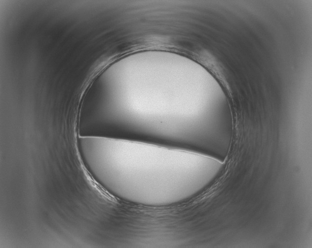 X0000084000954200702160753