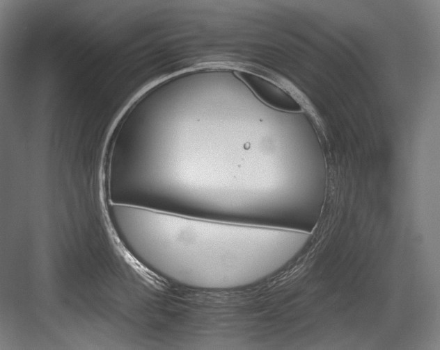 X0000084000955200702160753