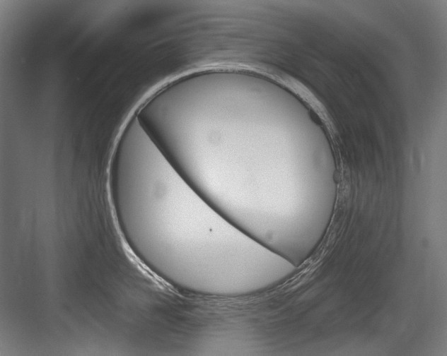 X0000084000958200702160753