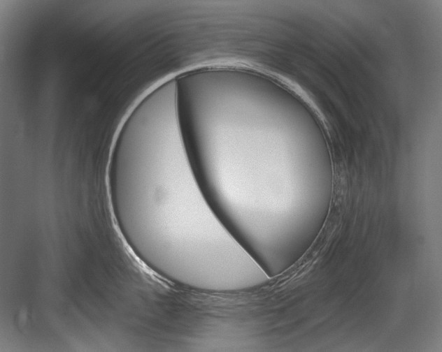 X0000084000959200702160753