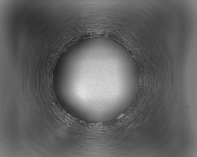X0000084000961200702160752