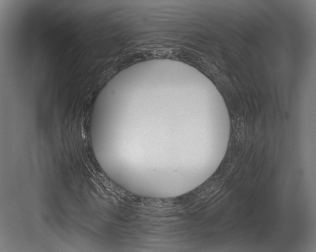 X0000084000962200702160752