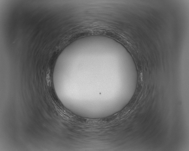 X0000084000963200702160752