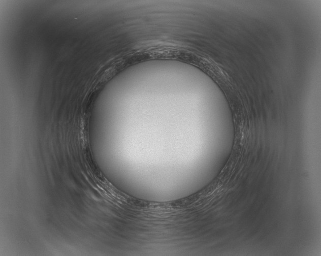 X0000084000964200702160752