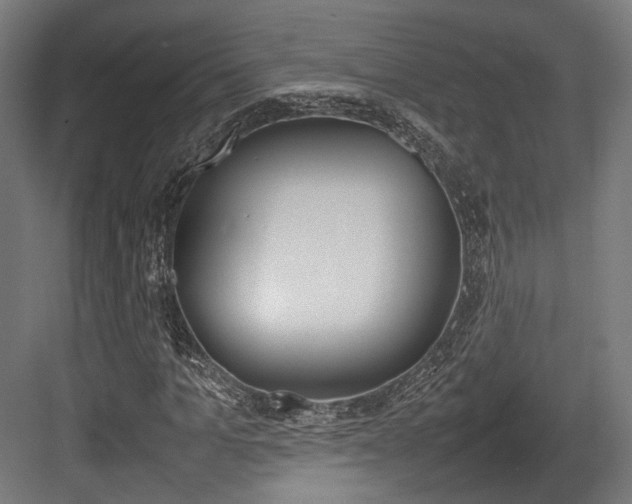 X0000084000965200702160752
