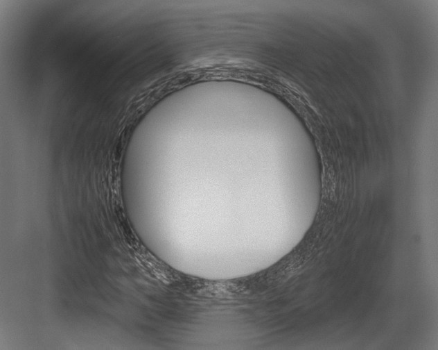 X0000084000966200702160752