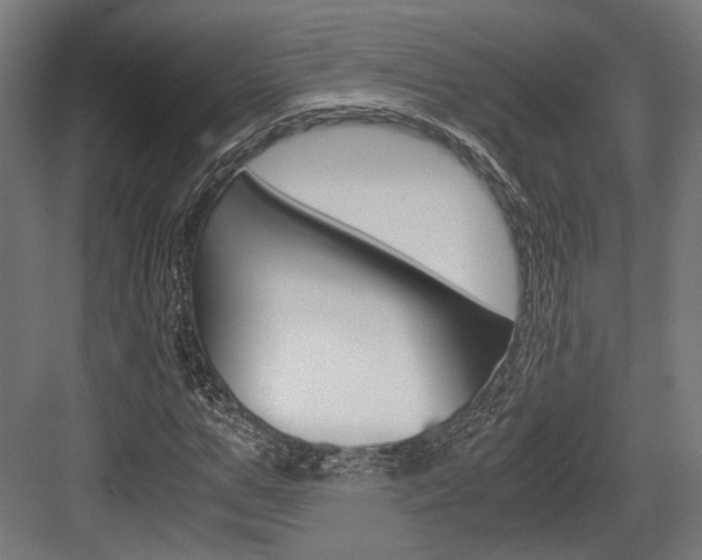 X0000084000967200702160752