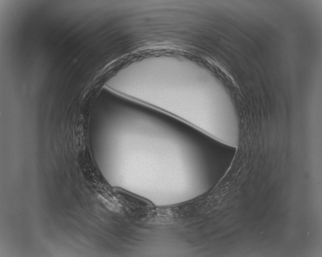 X0000084000968200702160752