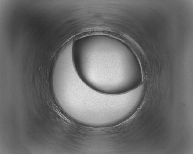 X0000084000969200702160752