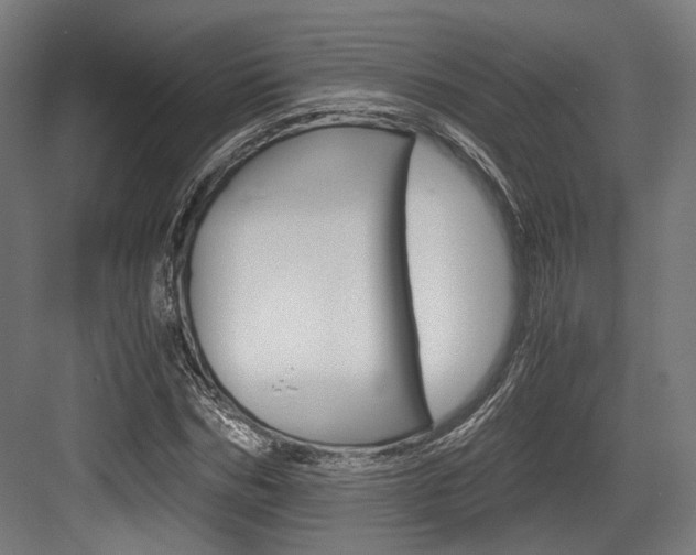 X0000084000970200702160752