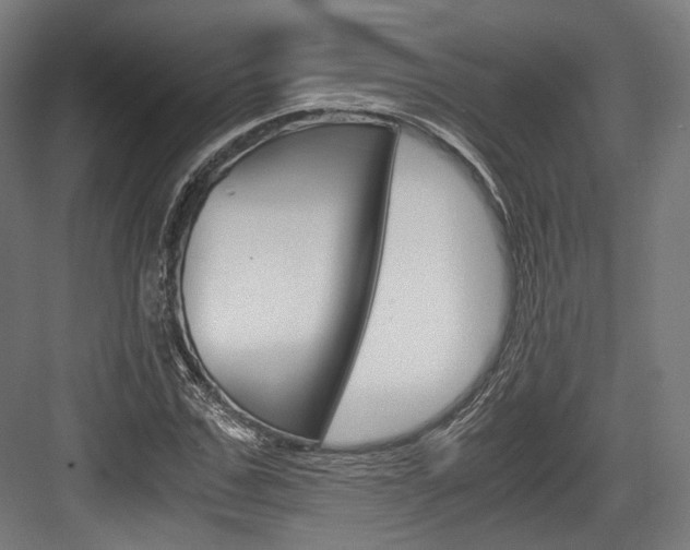 X0000084000971200702160752