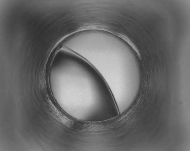 X0000084000972200702160752