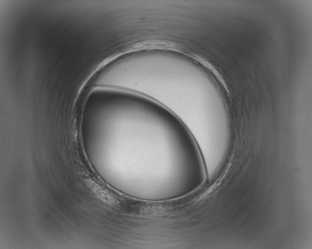 X0000084000973200702160752