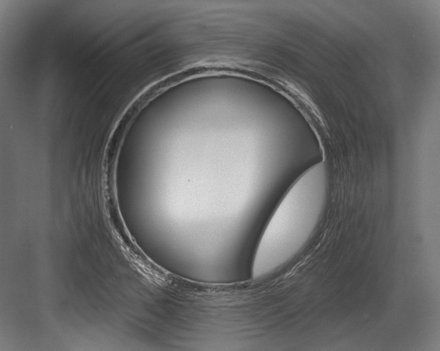 X0000084000976200702160752
