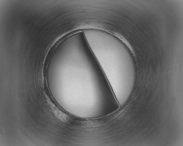 X0000084000980200702160752