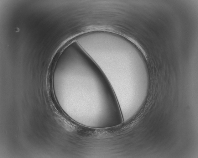 X0000084000983200702160752