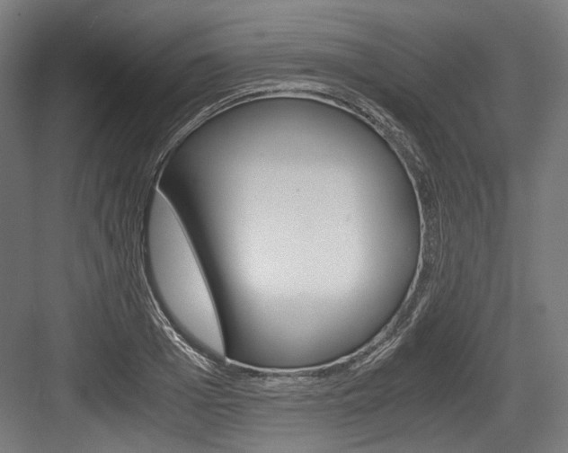 X0000084000985200702160752