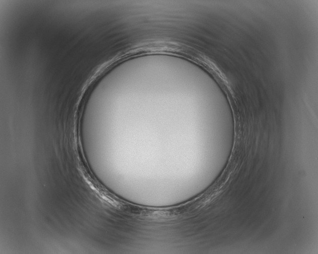 X0000084000986200702160752
