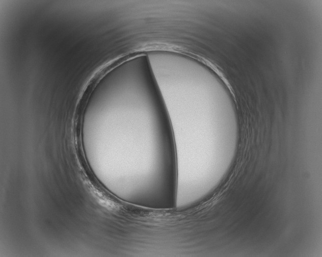 X0000084000987200702160752
