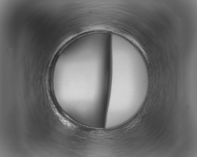 X0000084000991200702160752