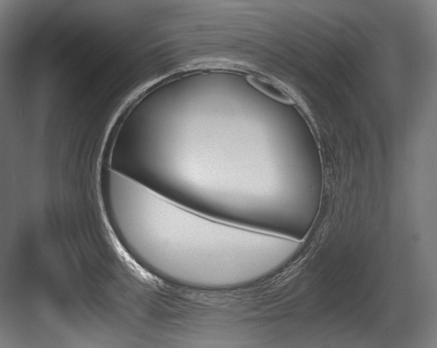 X0000084000995200702160752