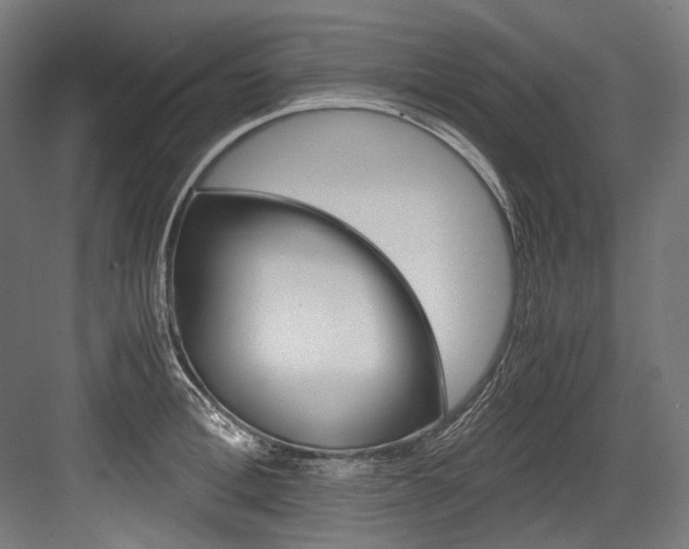 X0000084000996200702160752