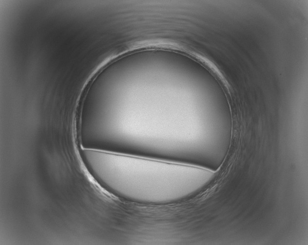 X0000084000999200702160752