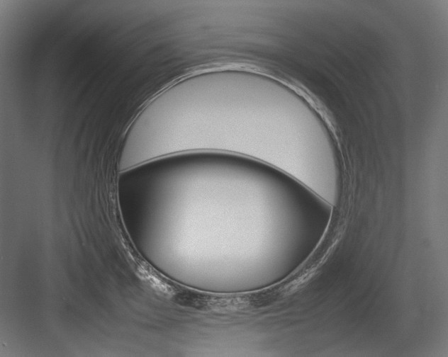 X0000084001001200702160752