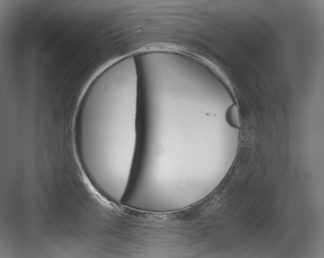 X0000084001003200702160752