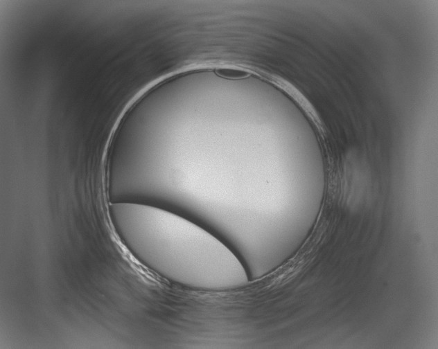 X0000084001004200702160752