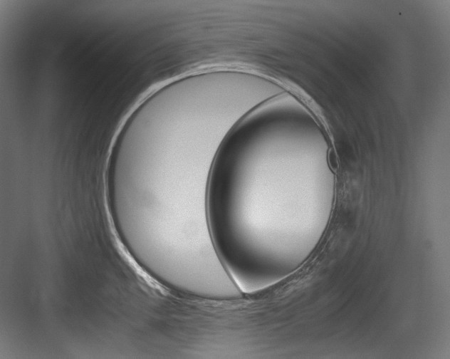 X0000084001005200702160751