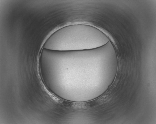 X0000084001006200702160751